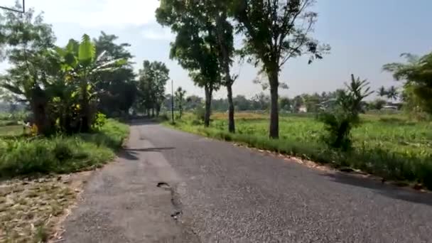 Scenery Small Path Passes Agricultural Area Has Fresh Air Warm — Video