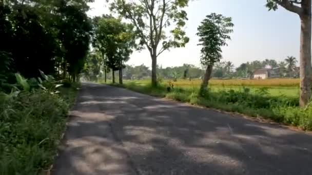 Scenery Small Path Passes Agricultural Area Has Fresh Air Warm — Stockvideo