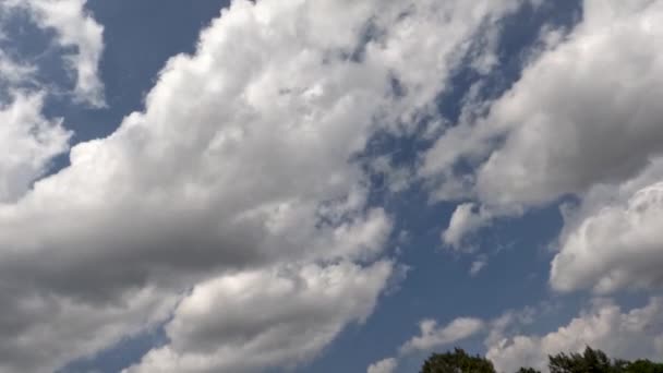 Time Lapse Clouds Blue Sky Sunny Morning Tropical Climate Έννοια — Αρχείο Βίντεο