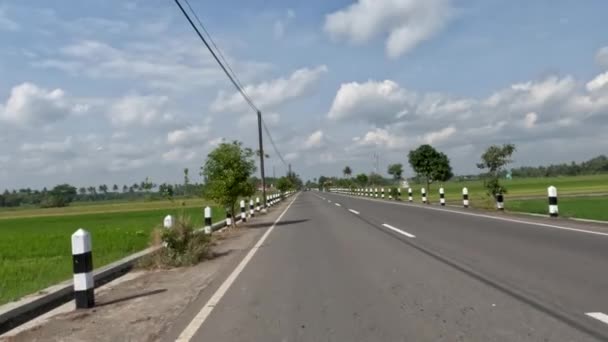 View Rural Road Divides Rice Fields Left Right Productive Green — Video