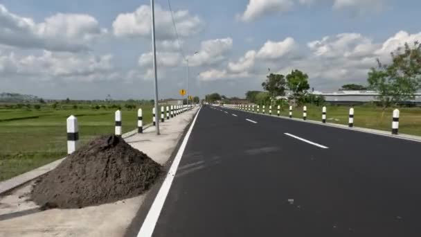View Rural Road Divides Rice Fields Left Right Productive Green — Stockvideo
