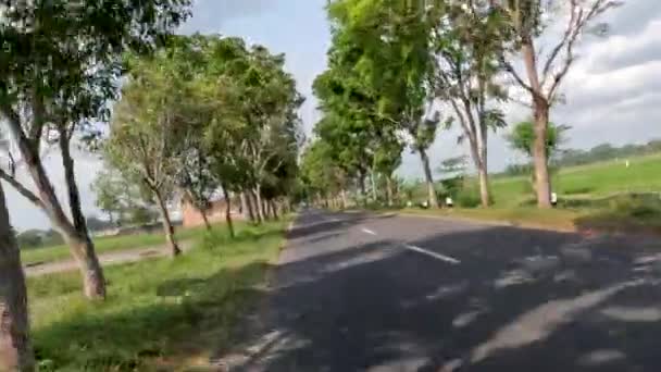 View Small Road Divides Rice Fields Beautiful Countryside Right Left — Stockvideo