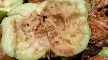 A pile of crystal guava that is rotten due to fruit fly attacks, the inside of the fruit is filled with larvae, the rotten fruit becomes inedible