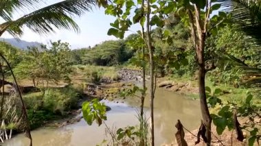 A small river filled with stones of various sizes, the banks of the river are overgrown with trees and plants of various kinds, water is the source of life