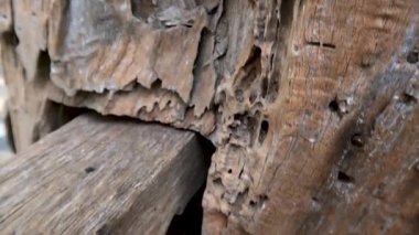 The texture of the old teak wood is brown which is starting to have holes everywhere, but it is still strong enough to withstand the load