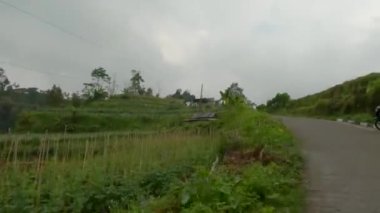 Dağlık arazi, teras, çiseleme ve sisli koşullar altında yol ve sebze bahçesi manzarası