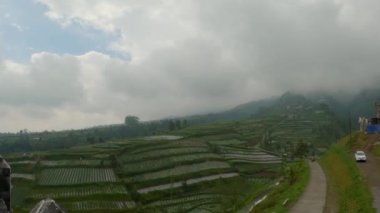 Dağlarda teras sistemi olan yeşil sebze tarlaları. Hava koşulları soğuk, bulutlu ve sisli.