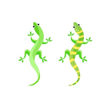 Gecko ya da kertenkele vektör çizimi, beyaz arkaplanda kertenkele izole edilmiş hayvan çizimi. kertenkele illüstrasyonu.