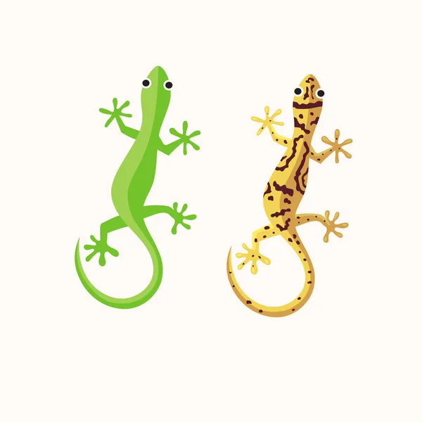 Gecko Eller Ödla Vektor Illustration Ödla Isolerad Djur Illustration Vit — Stock vektor