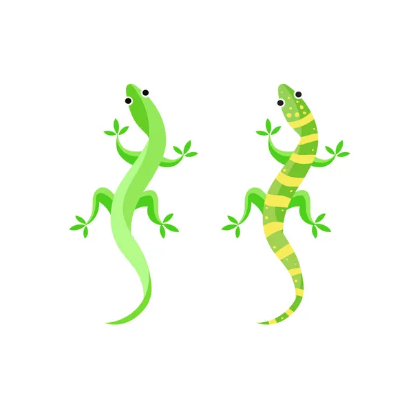 Geckoやトカゲベクトルイラスト 白い背景にトカゲの隔離された動物イラスト トカゲ図 — ストックベクタ