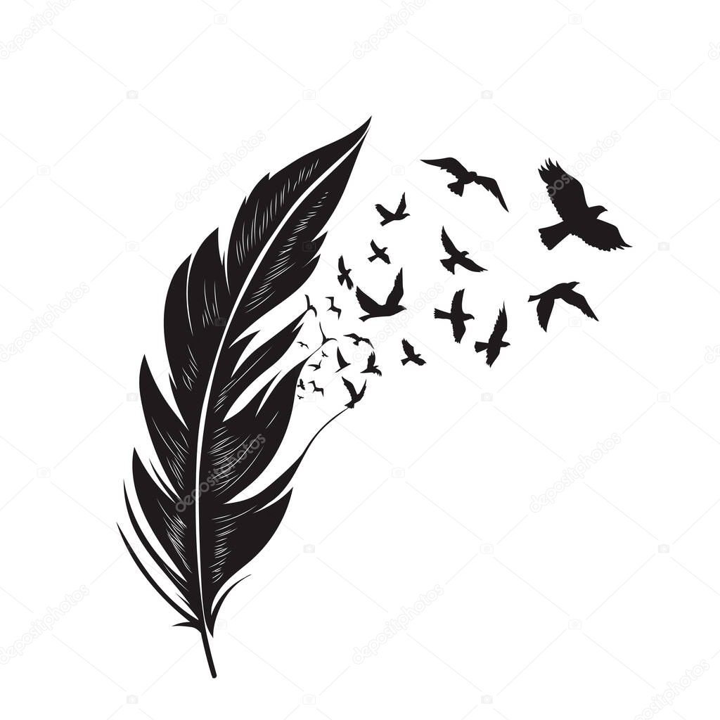 Feathers with free flying birds vector illustration , freedom bird flying from feather