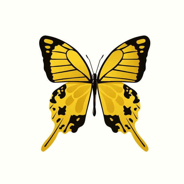 Isolé Belle Illustration Vectorielle Papillon Coloré — Image vectorielle