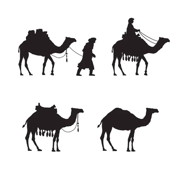 Coleção Camelos Silhuetas Isoladas Sobre Fundo Branco —  Vetores de Stock