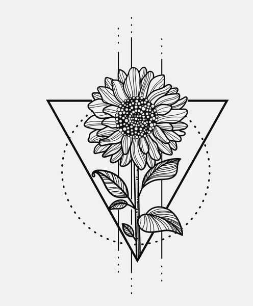 Girasole Disegnato Mano Con Triangolo Geometrico Sfondo Vettoriale Illustrazione — Vettoriale Stock