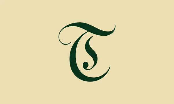 Cursive Letter Initial Logo Concept Διανυσματικό Πρότυπο Σχεδιασμός Διανύσματος Της — Διανυσματικό Αρχείο