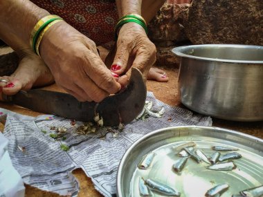 Hindistan, köy bölgesinde orak üzerine küçük balıkların kesilmesi.