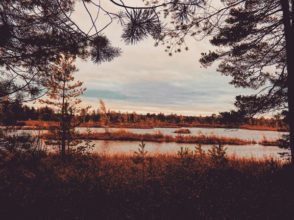 가을에 섬들이 — 스톡 사진