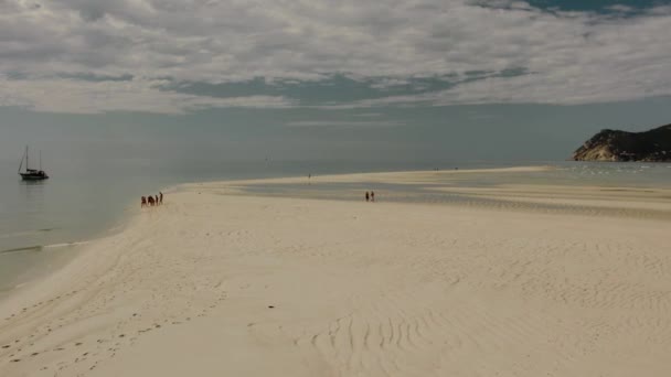 Flying People Walking Beach Low Tide — ストック動画