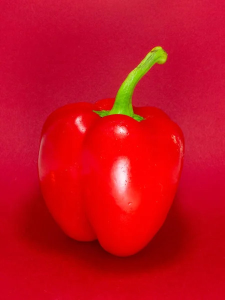 Red Bell Pepper Red Background — Stock Photo, Image