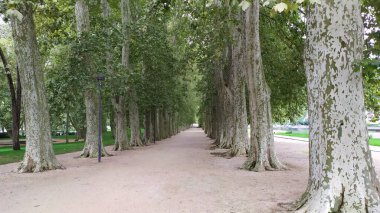 La vida es hermosa, paisajes y vacaciones, disfrutar del aire libre y amar la vida 