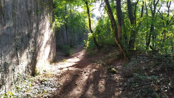 La vida es hermosa, paisajes y vacaciones, disfrutar del aire libre y amar la vida 