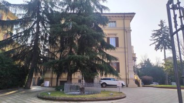 Paseo, disfruta de la vida libre vacaciones playa y una vida hermosa