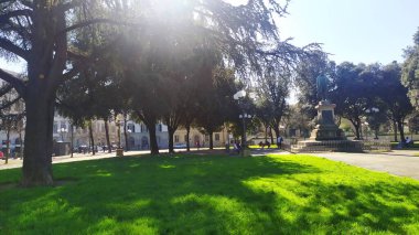 Paseo, disfruta de la vida libre vacaciones playa y una vida hermosa