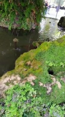 caminata, tiendas Francia , la  vida es hermosa cuando salimos a disfrutarla 