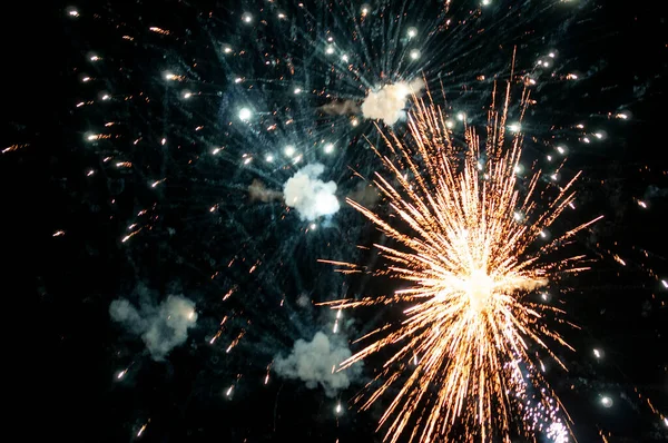 Dağlarda yeşil orman