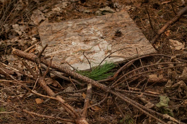 Velho Sinal Madeira Quebrado Uma Floresta Outono — Fotografia de Stock