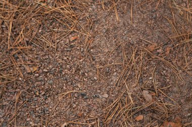 kahverengi zemin küçük taşlar doku görüntüsü