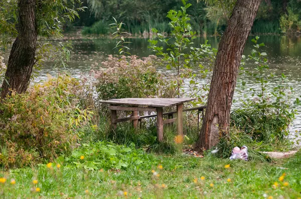 Parktaki göldeki iskelede bir köpek dinleniyor. yüksek kaliteli fotoğraf