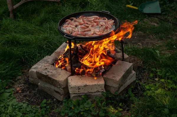 Utomhus Lägereld Järn Platta Med Räkor — Stockfoto