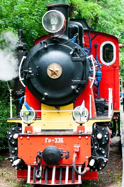 森の古い蒸気機関車は — ストック写真