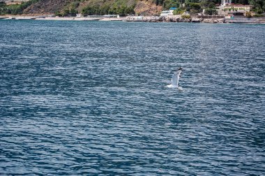 deniz suyu ve gökyüzü yapısı