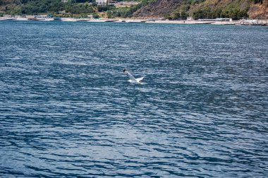 deniz suyu ve gökyüzü yapısı