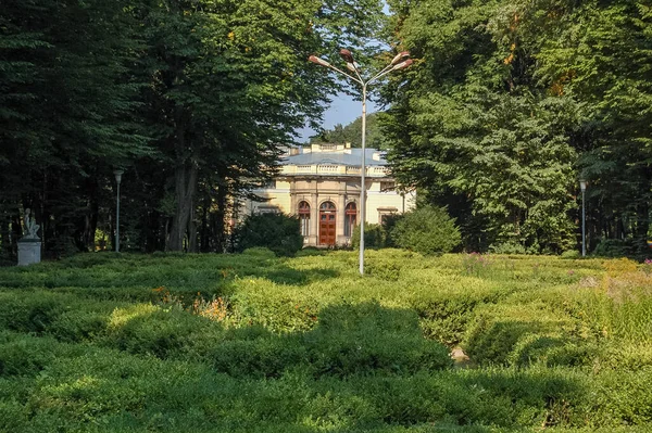 Drzewa Krzewy Parku Natura Widok Krajobraz — Zdjęcie stockowe