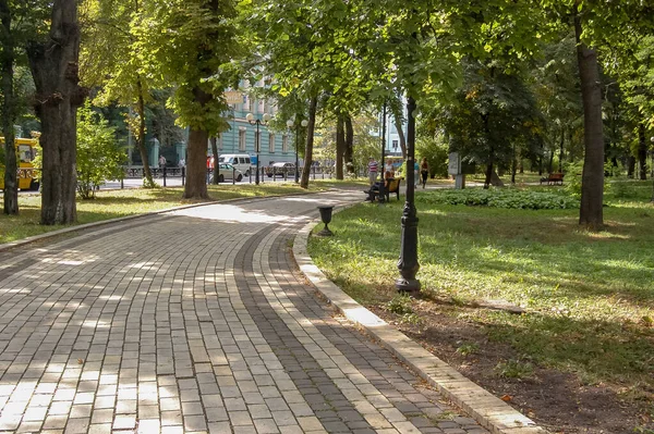 Ağaçlarla kaplı şehir parkı sokağında