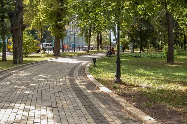 Ağaçlarla kaplı şehir parkı sokağında