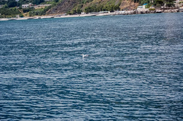 Zusammensetzung Von Meerwasser Und Himmel — Stockfoto