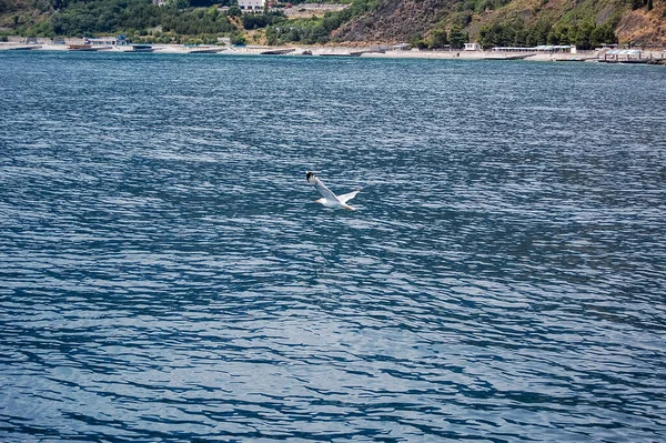 Zusammensetzung Von Meerwasser Und Himmel — Stockfoto