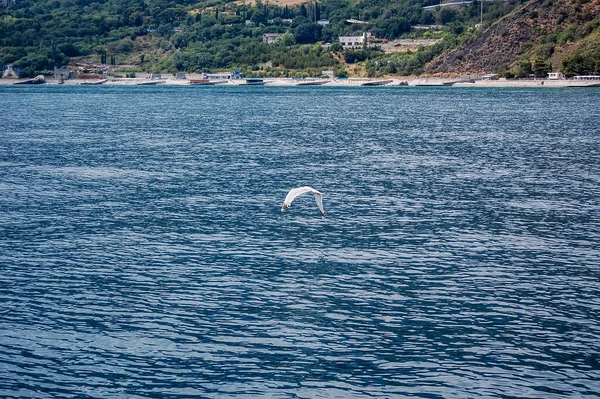 deniz suyu ve gökyüzü yapısı