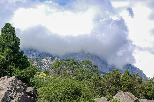 多云的天空笼罩着高山森林 — 图库照片