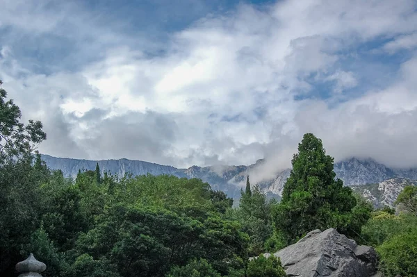 多云的天空笼罩着高山森林 — 图库照片