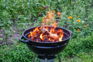 Açık havada kamp ateşi yaklaştı.