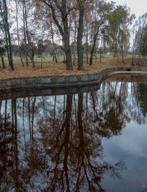 Kamu parkında küçük bir göl doğa manzarası