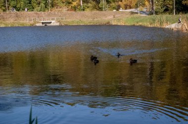 Nehir ağaçları ve gökyüzü manzarası