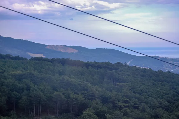 Green Forest Mountains Landscape — Stock Photo, Image