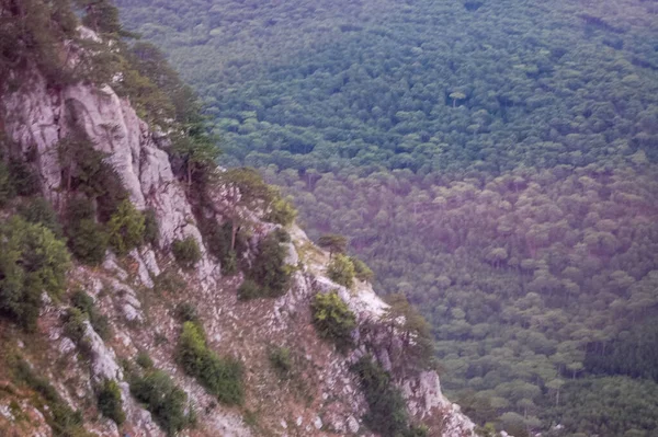 Açık hava barbeküsü et sokak yemekleri