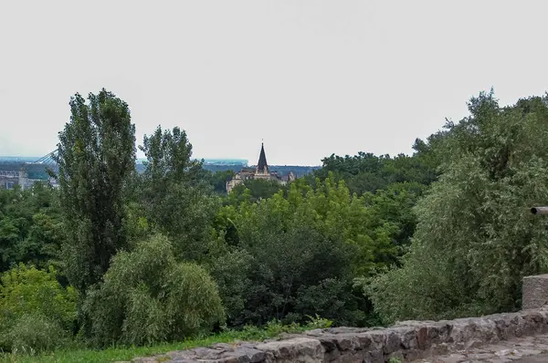 Grüne Pflanzen Nahaufnahme Zusammensetzung Vegetation — Stockfoto